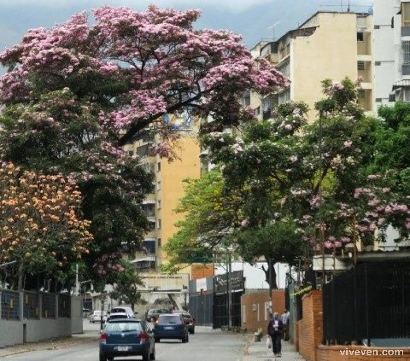 Habitación en alquiler en Petare, Miranda